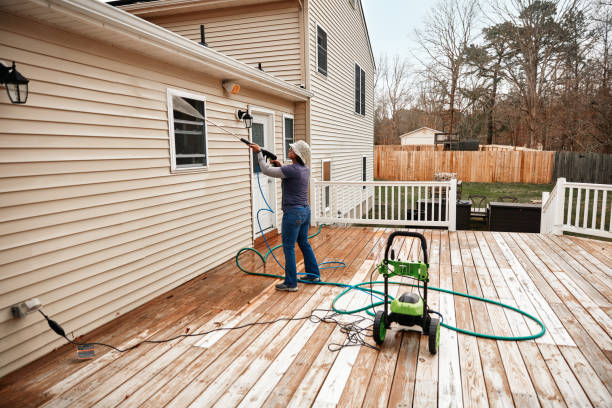 Best Residential Pressure Washing Services  in Daisetta, TX