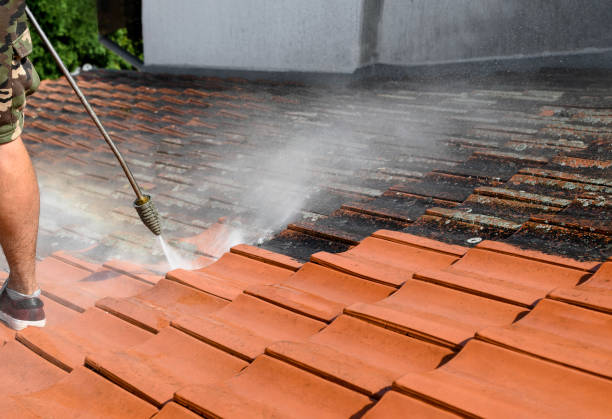 Best Power Washing Near Me  in Daisetta, TX