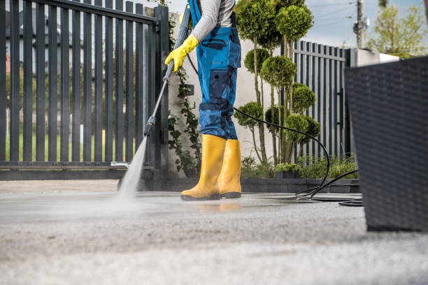 Best Sidewalk Pressure Washing  in Daisetta, TX