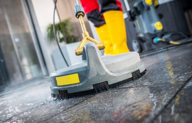 Best Pressure Washing Company Near Me  in Daisetta, TX