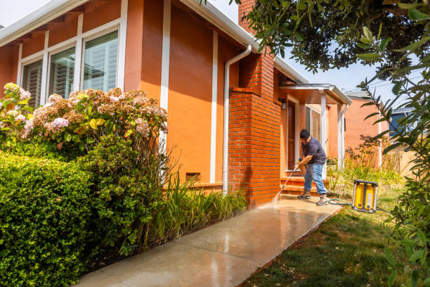 Best Commercial Building Pressure Washing  in Daisetta, TX