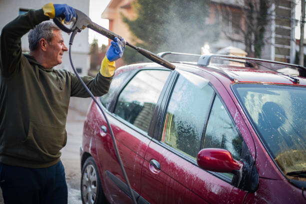 Best House Pressure Washing  in Daisetta, TX