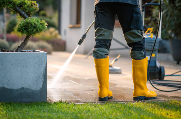 Best Residential Pressure Washing Services  in Daisetta, TX